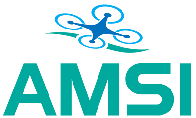 AMSI Andrews Marine Surveys & Inspections Ltd
